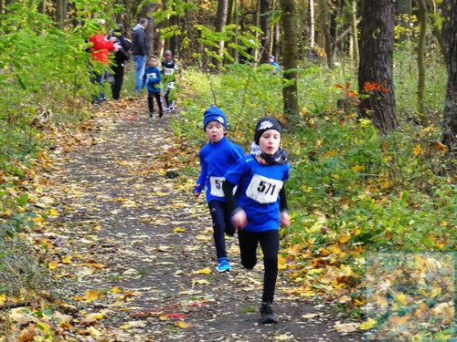 Lauf Schüler U8 männlich