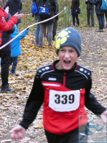 Lauf Schüler U12 männlich
