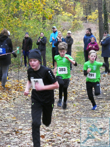 Lauf Schüler U12 männlich