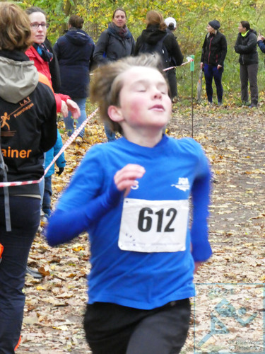 Lauf Schüler U12 männlich