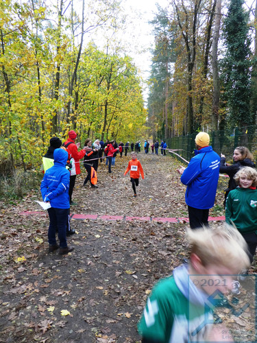 Lauf Schüler U12 männlich