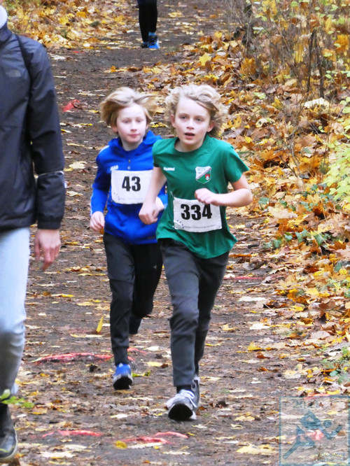 Lauf Schüler U10 männlich