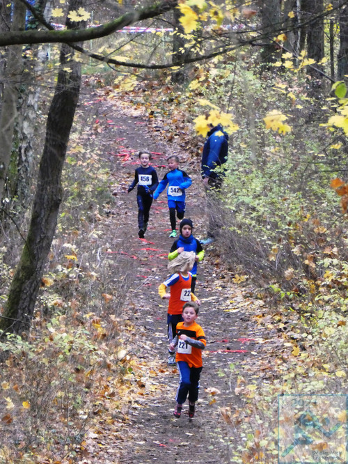 Lauf Schüler U10 männlich